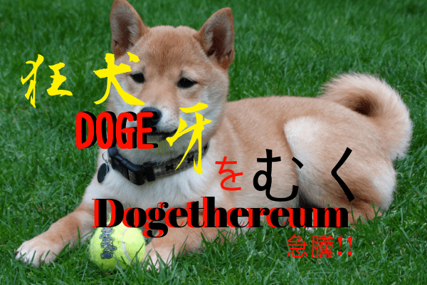 Dogethereumについて調べた記事のアイキャッチです